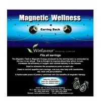 Magnetic earring